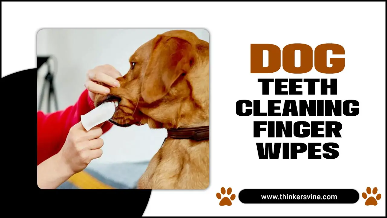 Dog Teeth Cleaning Finger Wipes: Keeping Your Pet’s Smile Bright