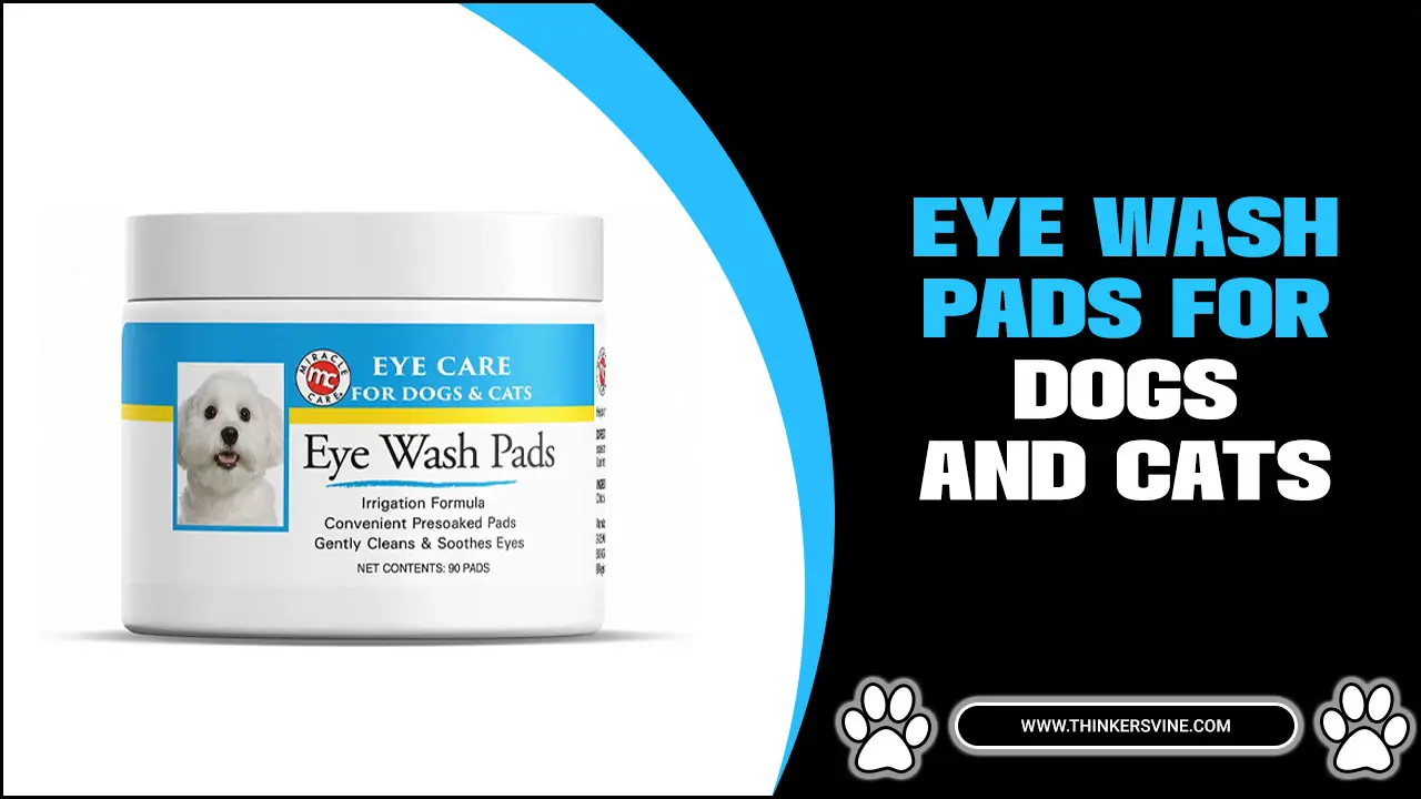 Eye Wash Pads For Dogs And Cats: Keeping Your Pet’s Eyes Healthy
