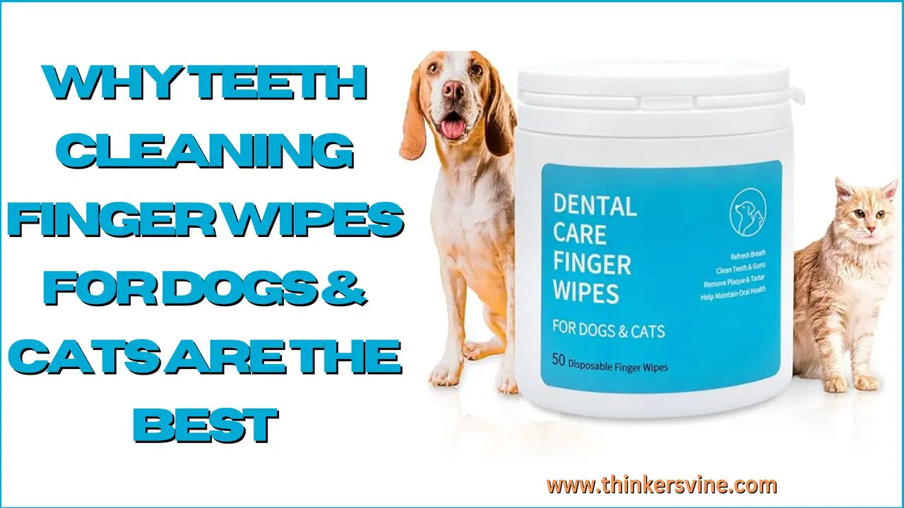 Teeth Cleaning Finger Wipes For Dogs & Cats