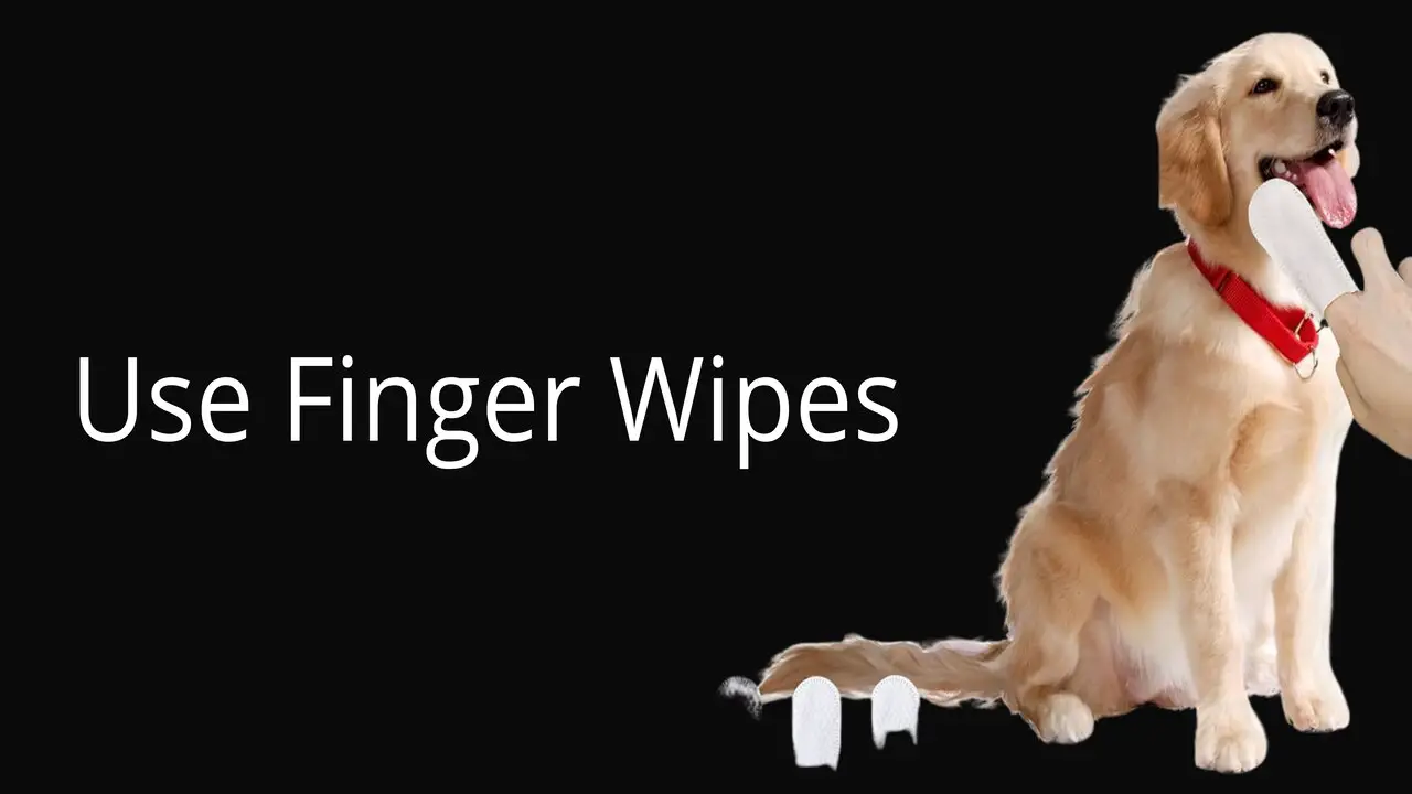 When And How Often Should You Use Finger Wipes