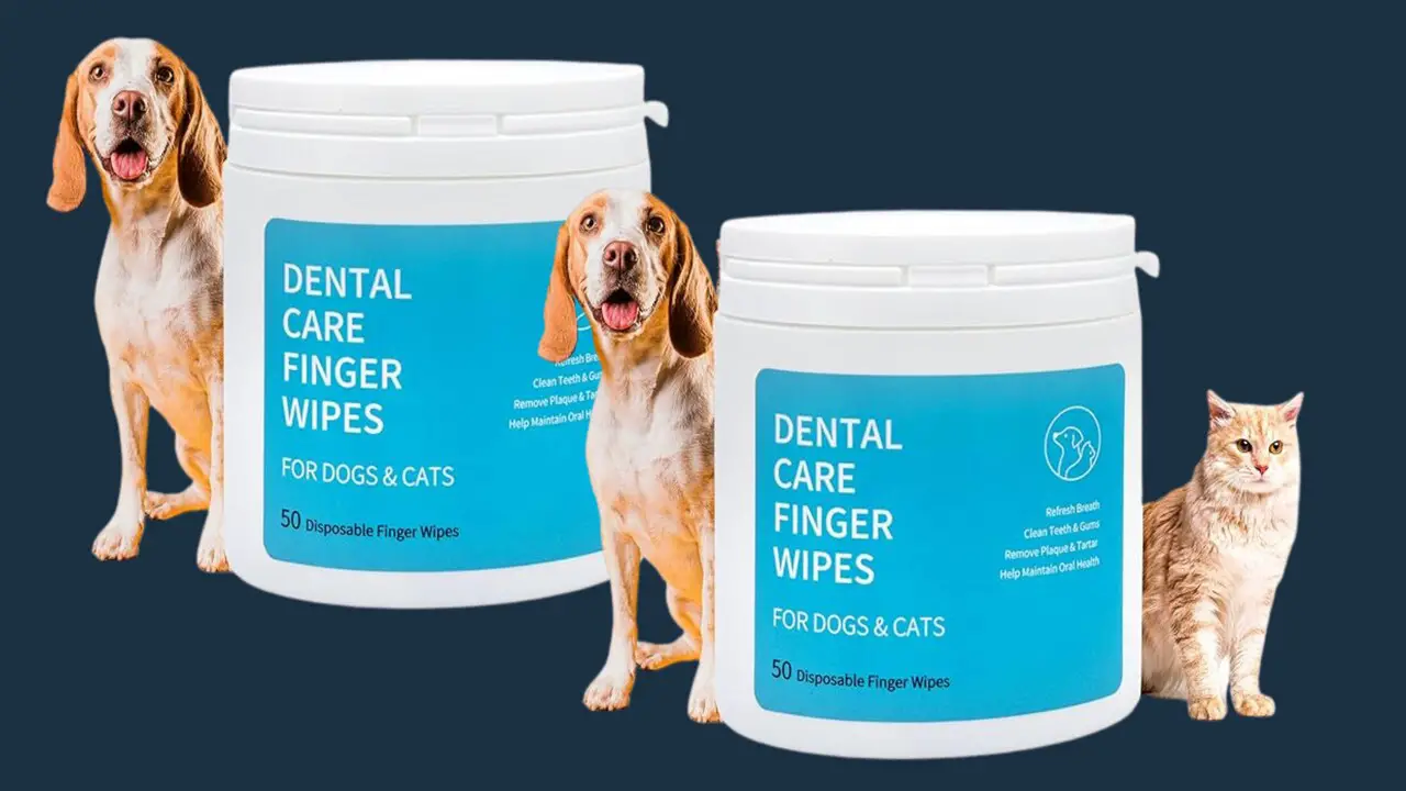 Why Use Teeth Cleaning Finger Wipes For Dogs & Cats