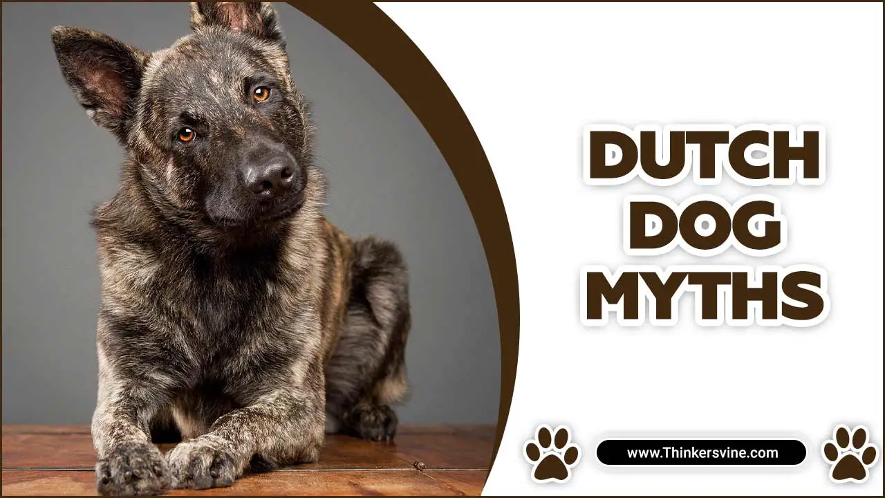 Dutch Dog Myths