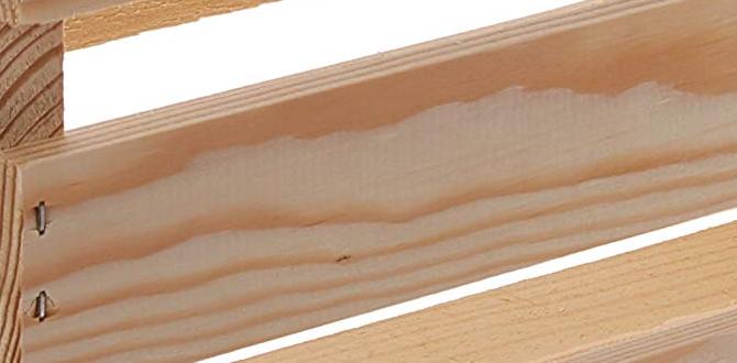 crate training a husky