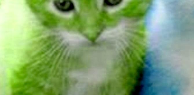 cute husky names blue eyes cute husky names blue eyes