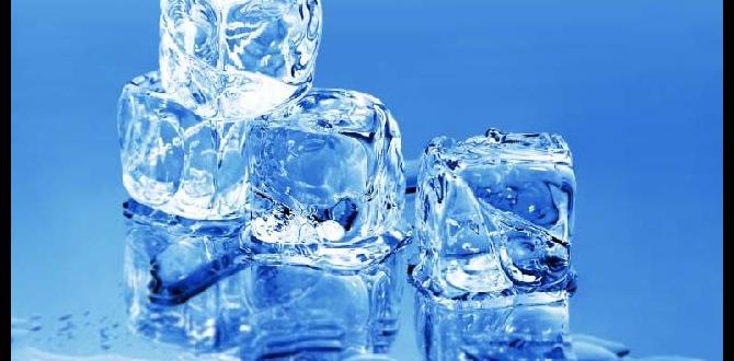 freeze dried treats for huskies