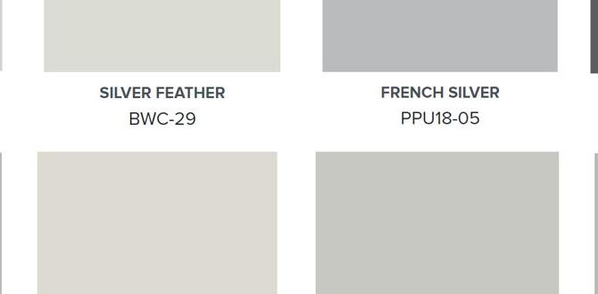 grey husky characteristics