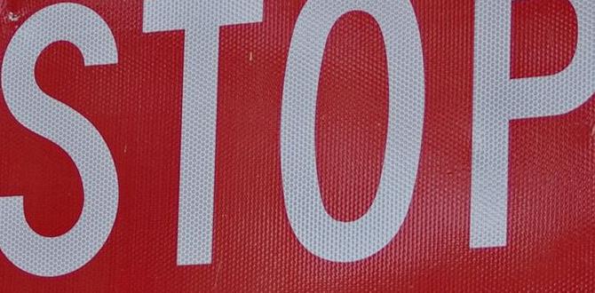 how to stop cocker spaniel whining