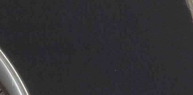 overweight cocker spaniel guide overweight cocker spaniel guide