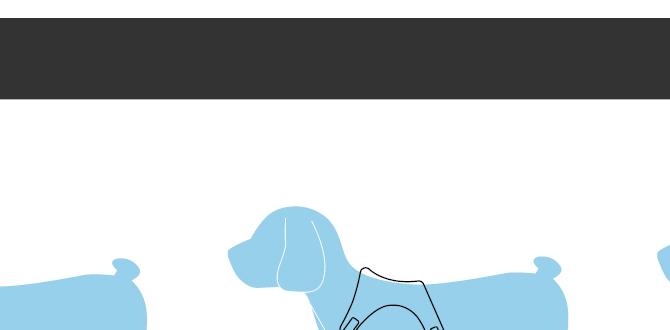 schnauzer harness fit guide
