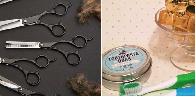 DIY dog grooming calculator