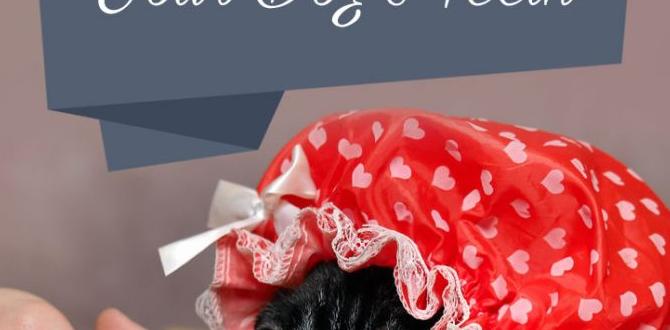 DIY dog teeth checklist