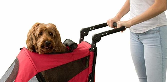adjustable dog stroller for summer