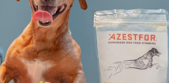 affordable dog supplements recipes