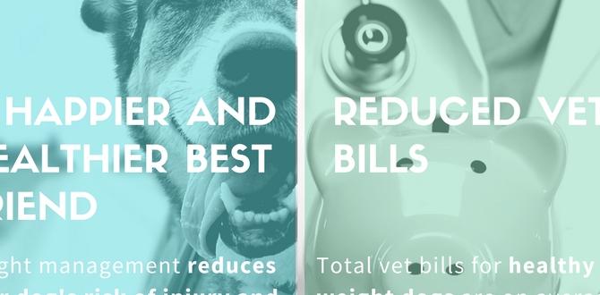 affordable dog weight loss benefits