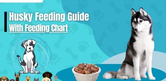 balanced healthy dog food for husky chart