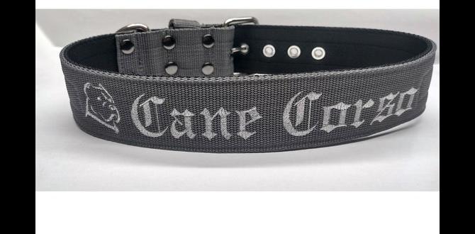 cane corso collar nail trimming