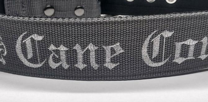 cane corso collar pictures