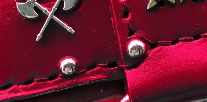 cane corso collar protection dog