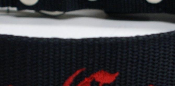 cane corso collar social issues how to train