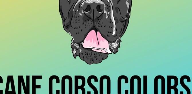 cane corso colors crate exercise