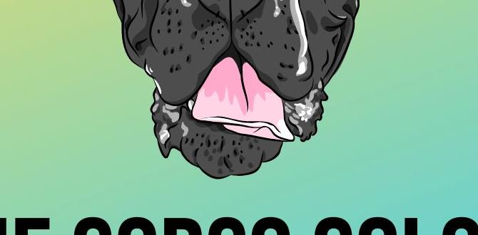 cane corso colors harness