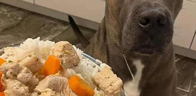 cane corso common questions nail trimming raw diet