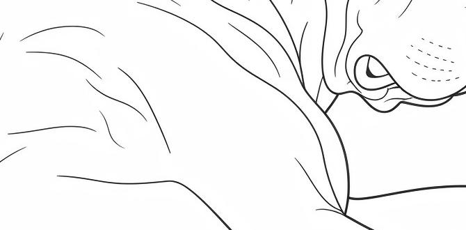 cane corso common questions sleeping bed intelligence