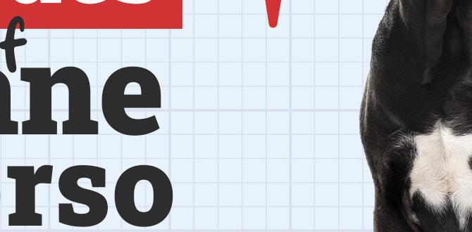 cane corso cost health issues dog park