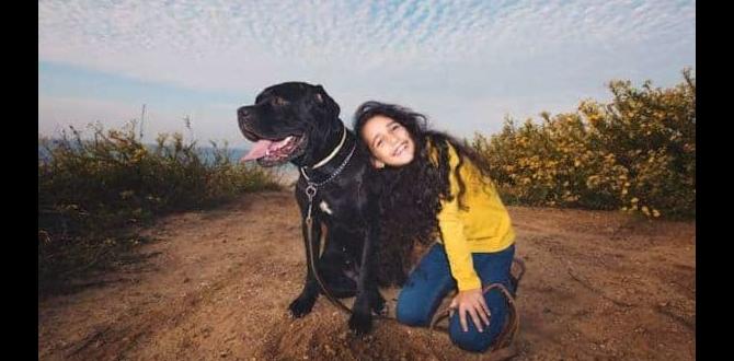 cane corso cost of ownership dog food temperament