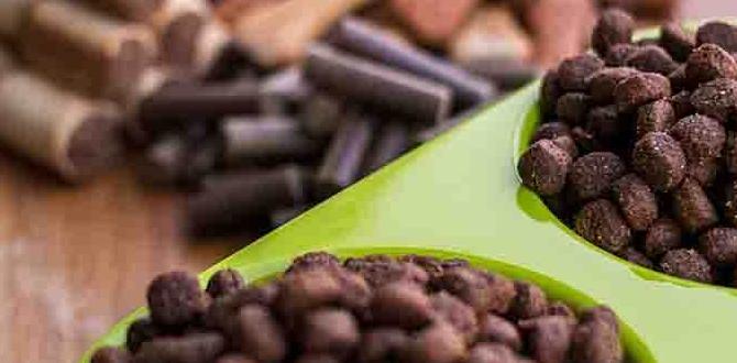 cane corso cost of ownership dog shows feeding guide