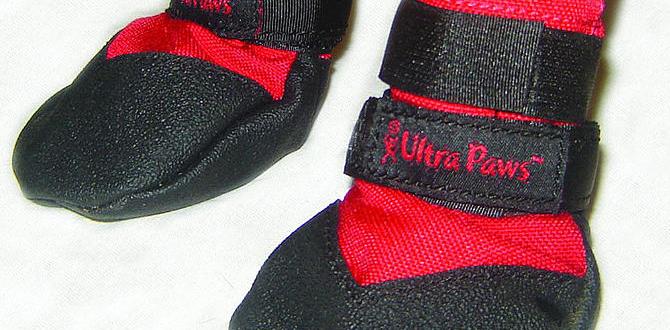 durable dog boots for summer