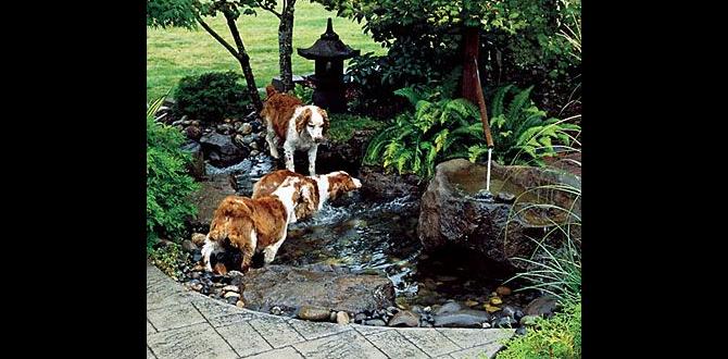 eco friendly garden with dogs
