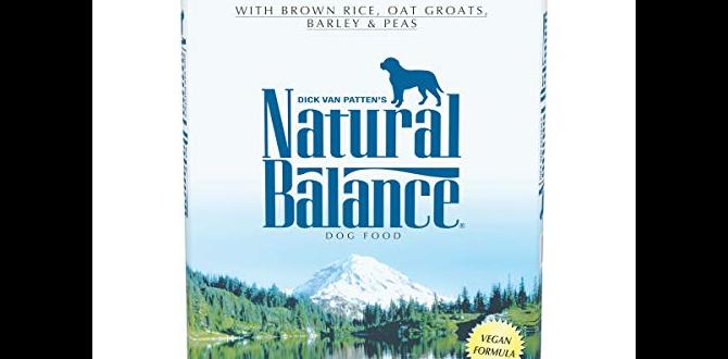 effective dog ear infection recipes