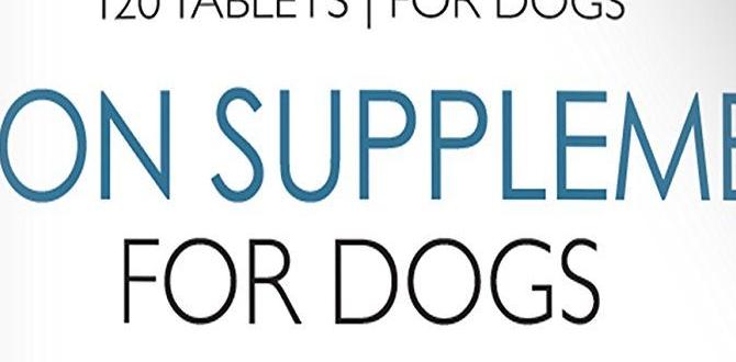 essential dog eye care recipes essential dog eye care recipes