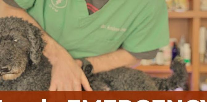 essential dog first aid causes