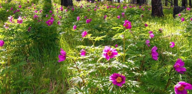 flora and fauna of pyrenees