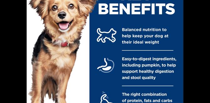 for digestion low fat dog food for small breeds