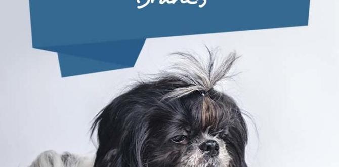 for joints wet dog food for shih tzus