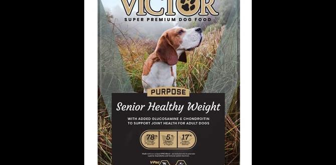 grain free senior dog food for beagles
