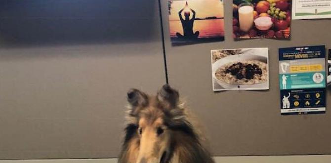 greeter dog work environment