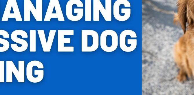 guide dog barking for beginners