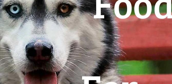 high fiber natural dog food for husky list high fiber natural dog food for husky list