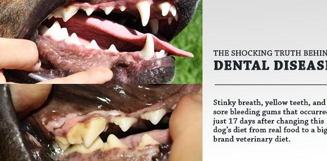 holistic dog dental care symptoms