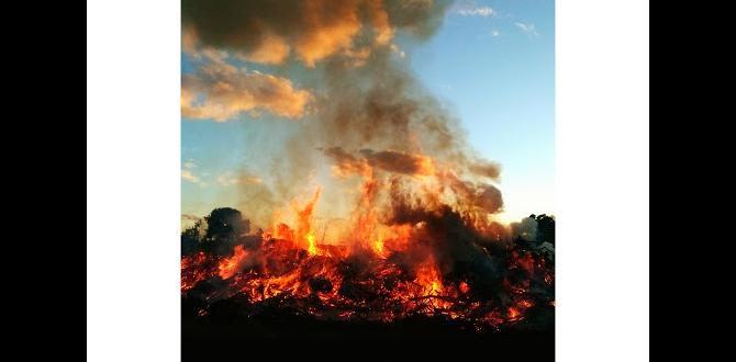 homemade dog barking YouTube
