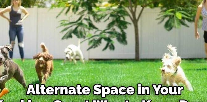 how to keep dogs out of garden beds