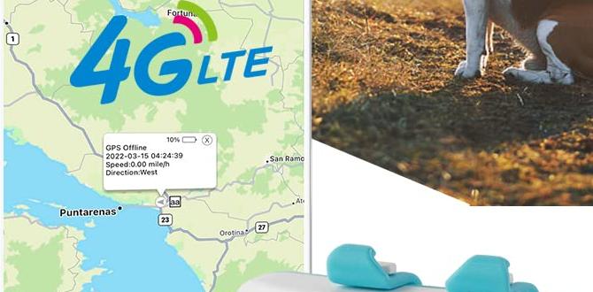 lightweight dog gps tracker for travel