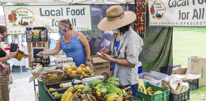 local cuisine in pyrenees