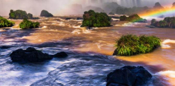 natural dog supplements methods natural dog supplements methods