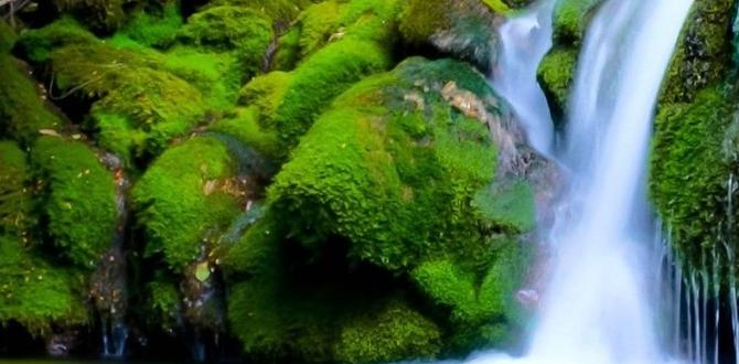 nature photography in pyrenees