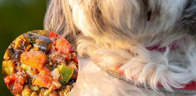 nutritious homemade dog food for shih tzus